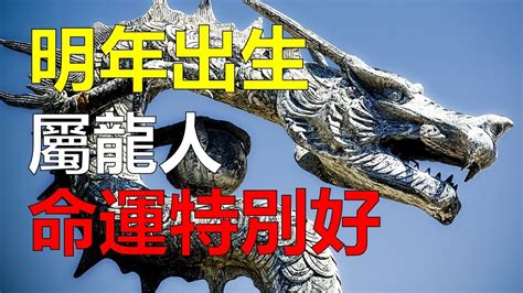 2024龍寶寶好嗎|2024 甲辰年龍寶寶特質大解密！